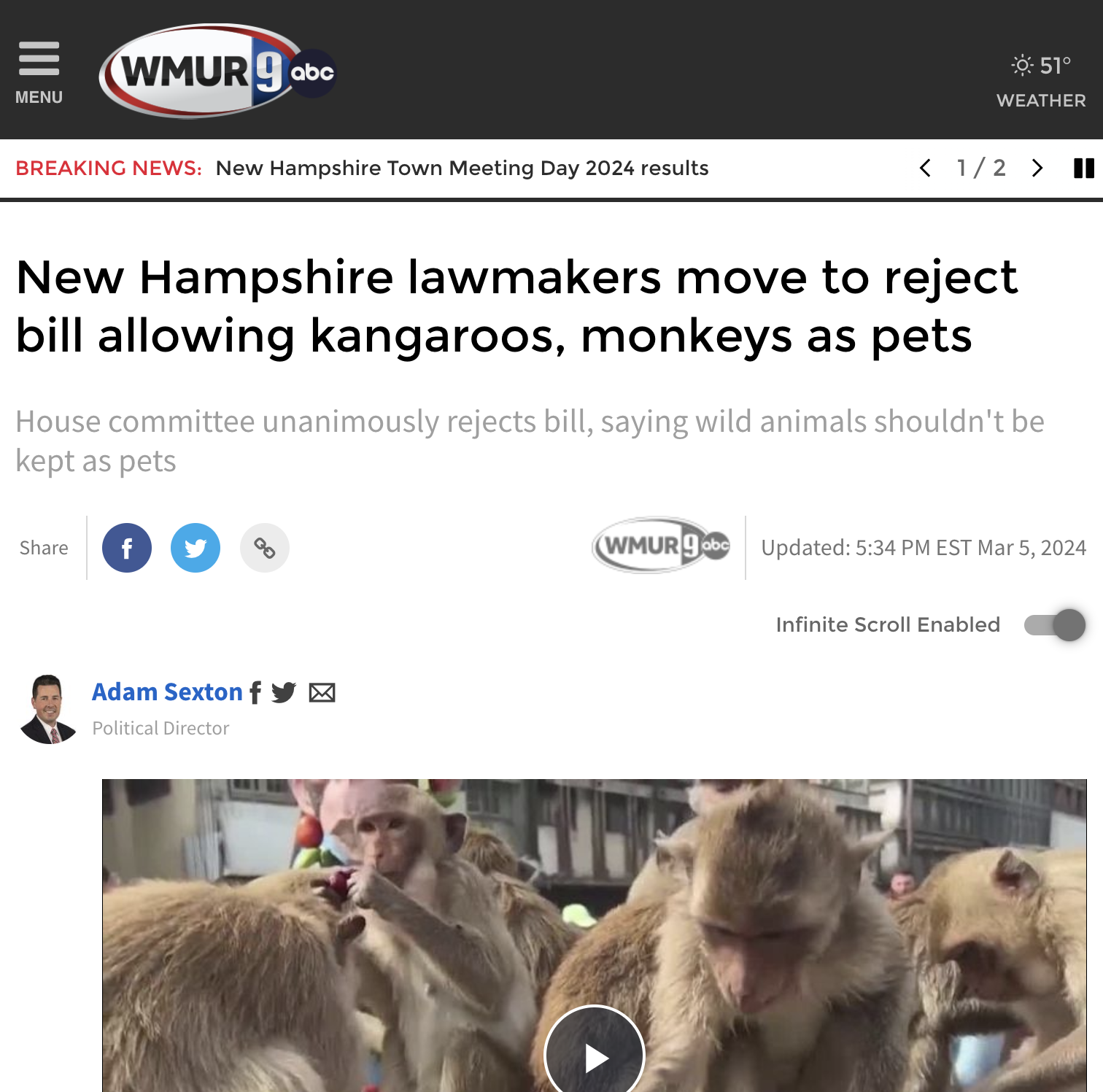 rhesus macaque - Menu WMUR9abc Breaking News New Hampshire Town Meeting Day 2024 results 51 Weather  I New Hampshire lawmakers move to reject bill allowing kangaroos, monkeys as pets House committee unanimously rejects bill, saying wild animals shouldn't 